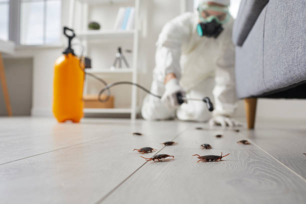 Post-Treatment Bed Bug Interceptor Monitoring in Hatboro